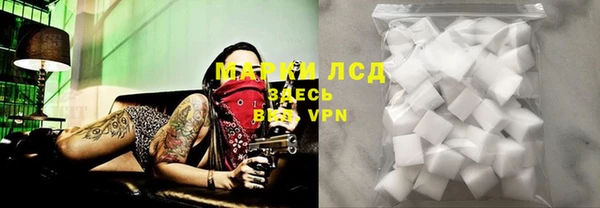 ГАЛЛЮЦИНОГЕННЫЕ ГРИБЫ Баксан