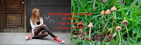 ГАЛЛЮЦИНОГЕННЫЕ ГРИБЫ Баксан